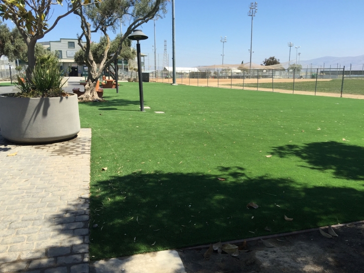 Synthetic Grass Grove City, Florida Lawn And Landscape, Parks