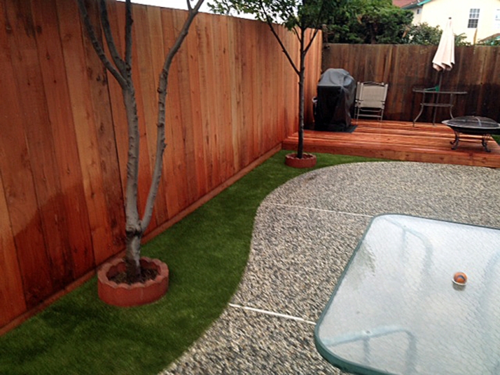 Synthetic Grass Naples, Florida Grass For Dogs, Small Backyard Ideas