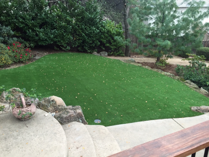 Synthetic Grass Saint Lucie, Florida Landscaping Business, Backyard Landscaping