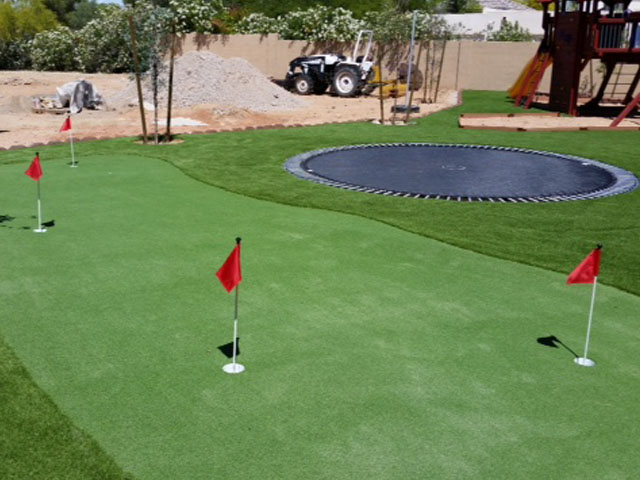 Synthetic Grass Zolfo Springs, Florida How To Build A Putting Green, Backyard Designs