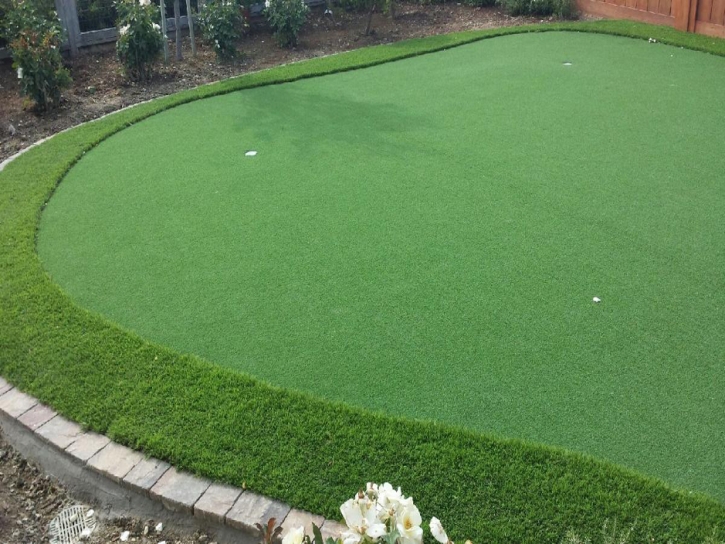 Synthetic Lawn Lake Harbor, Florida Putting Green Flags, Backyard Landscape Ideas