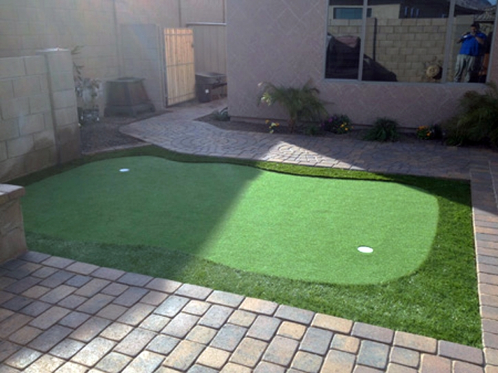 Synthetic Lawn Manalapan, Florida Landscaping, Backyard Garden Ideas