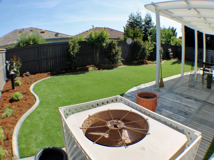 Synthetic Lawn McGregor, Florida Garden Ideas, Backyard Design