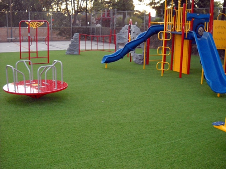 Synthetic Lawn Thonotosassa, Florida Playground, Recreational Areas