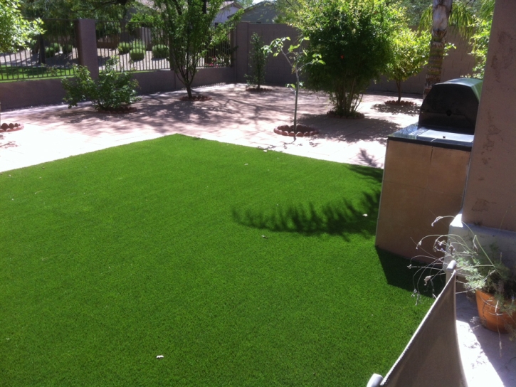 Synthetic Turf Stock Island, Florida Backyard Deck Ideas, Backyard Landscaping Ideas