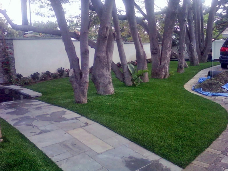 Synthetic Turf Supplier Bradley Junction, Florida Landscape Rock, Front Yard Landscape Ideas