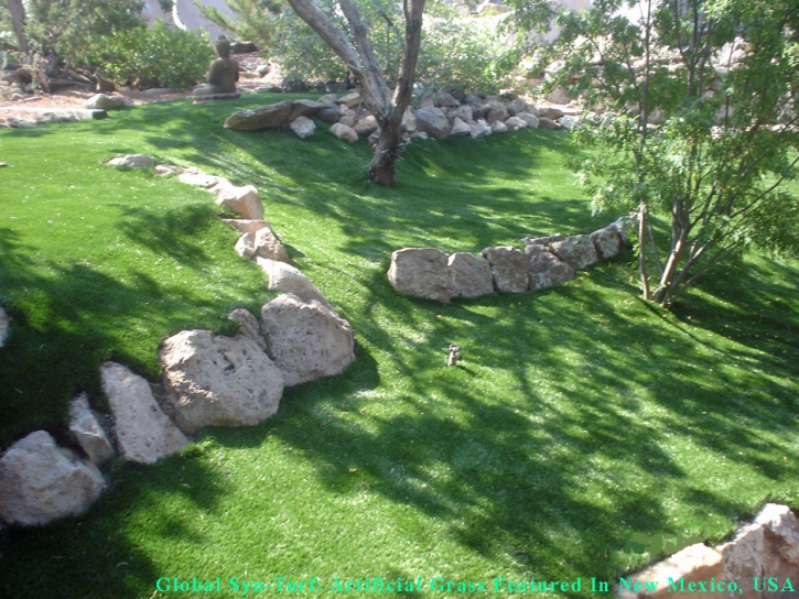 Synthetic Turf Supplier Coconut Grove, Florida Roof Top, Commercial Landscape