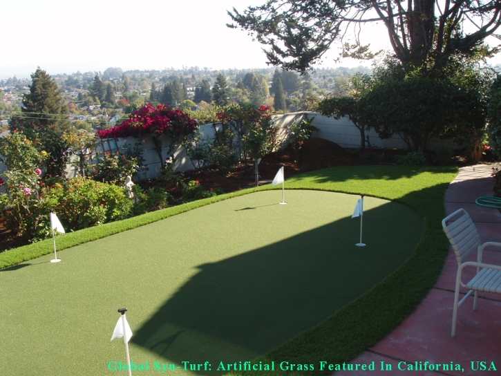 Synthetic Turf Supplier Miami Shores, Florida Artificial Putting Greens, Backyard Designs