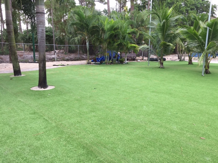 Synthetic Turf Supplier Nocatee, Florida Gardeners, Commercial Landscape