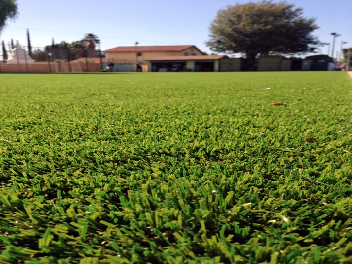 Synthetic Turf Supplier Weston, Florida Landscape Design