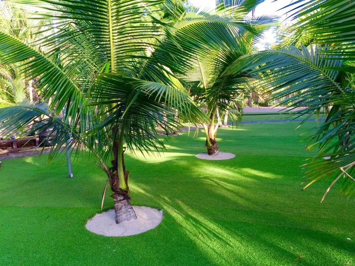 Synthetic Turf Wabasso, Florida Backyard Playground, Commercial Landscape