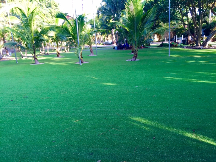 Turf Grass Matlacha, Florida Landscaping, Front Yard Design