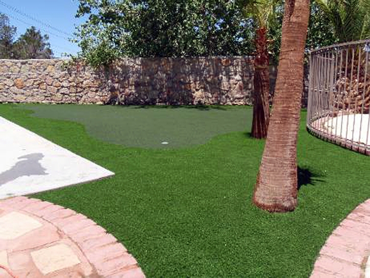 Turf Grass North Key Largo, Florida Putting Green Flags, Backyard Ideas