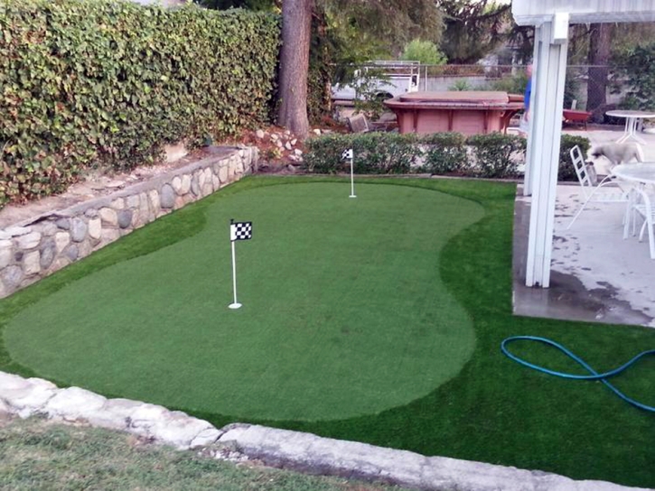 Turf Grass Riverview, Florida Putting Green Flags, Backyard Garden Ideas