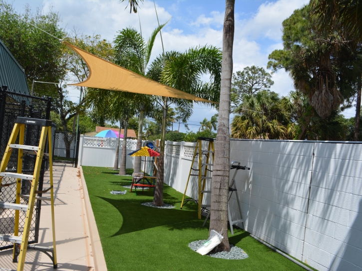 Turf Grass Wabasso Beach, Florida Pet Grass, Commercial Landscape