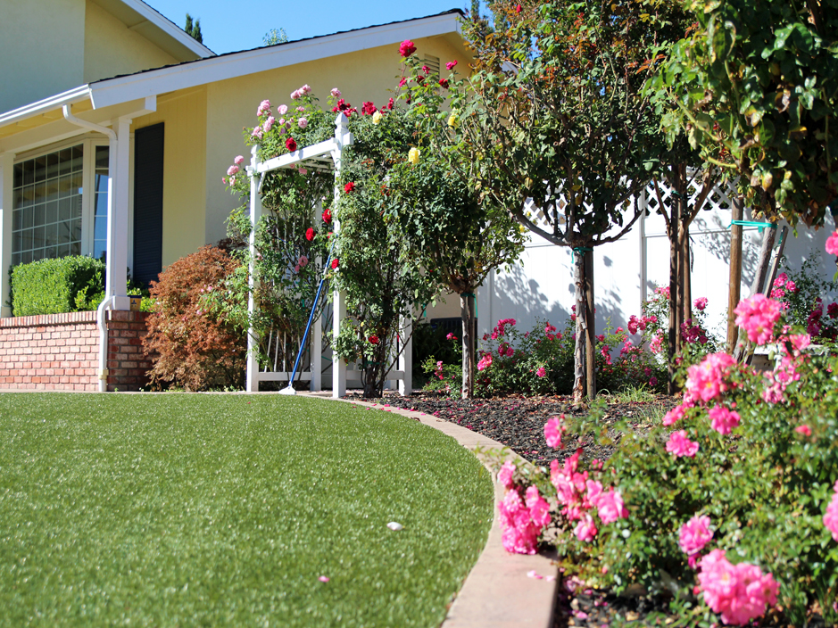 Fake Turf Whitfield Florida, Florida Front Yard Landscaping Pictures